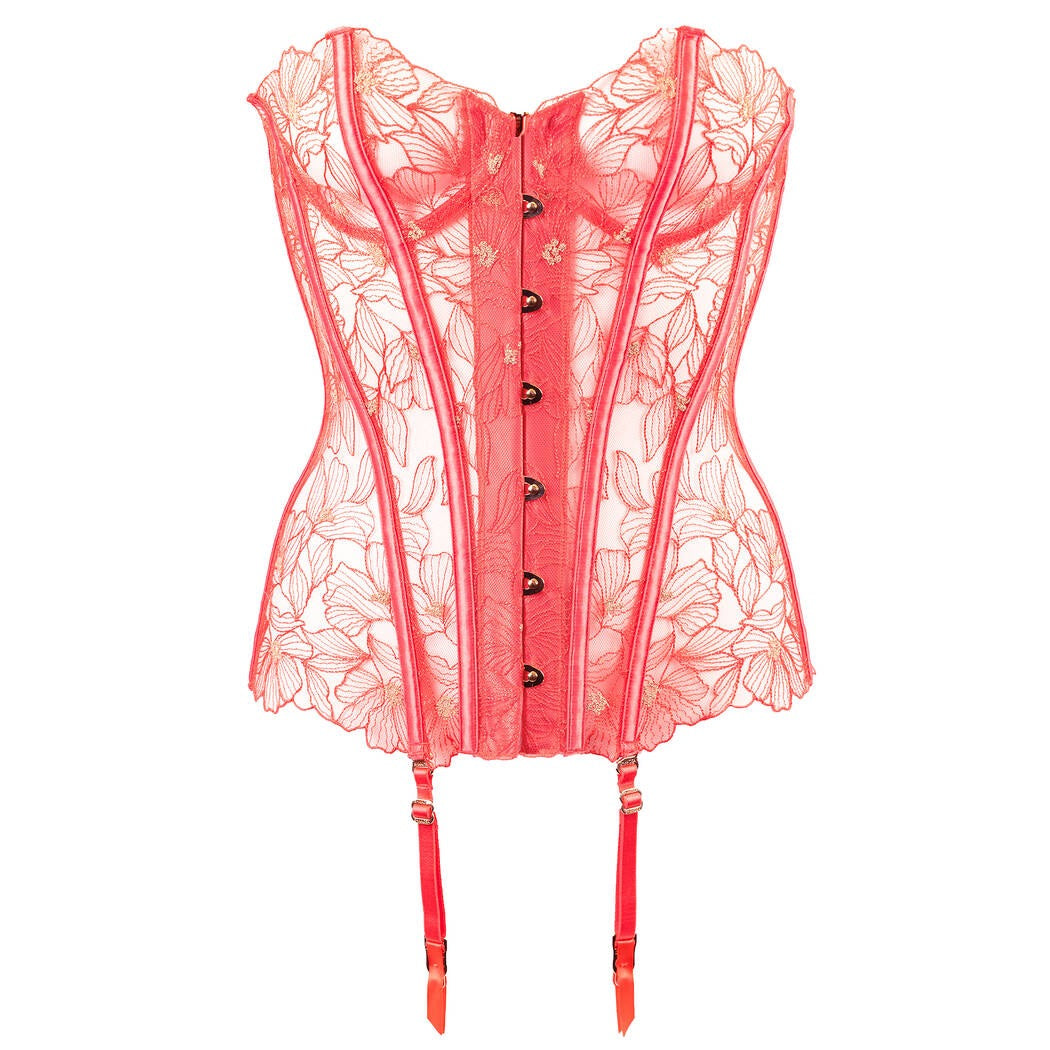 Shikkosa- Corset